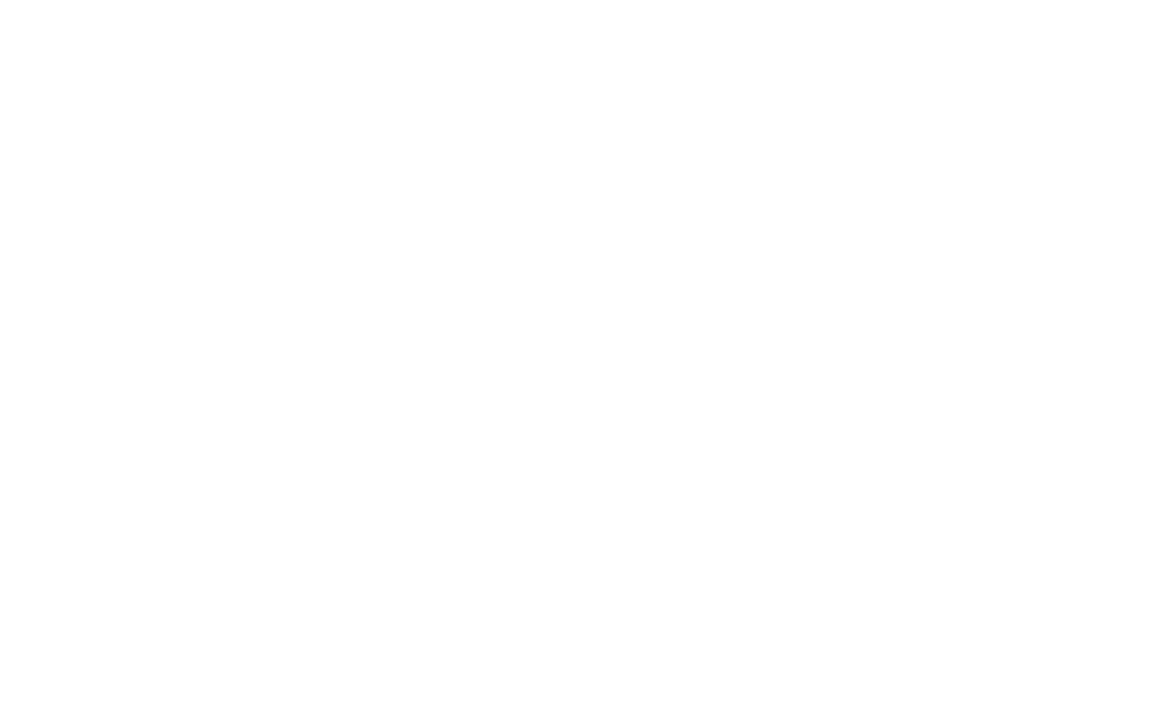 捷安特 GIANT